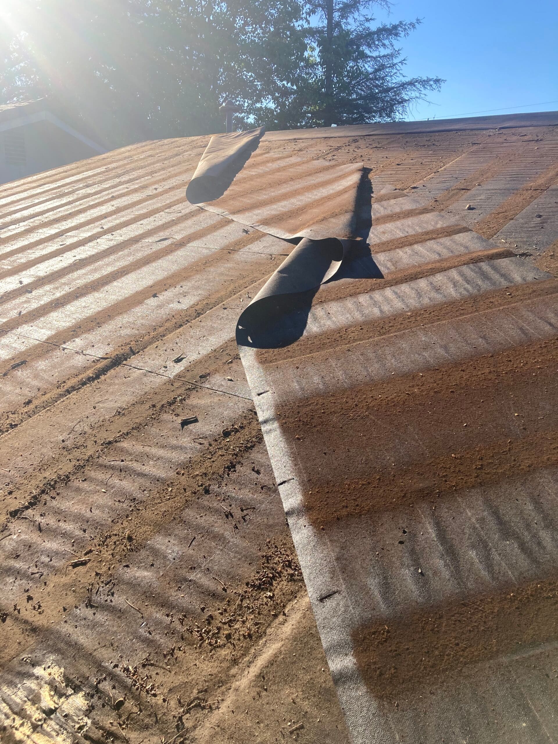 Weathered residential roof surface with several vent penetrations and dirt accumulated along roofing seams.