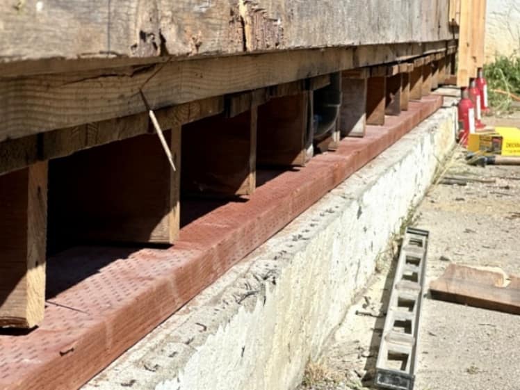 New pressure-treated sill plate installed above a concrete foundation during dry rot repairs, with exposed wall studs and temporary supports still in place.